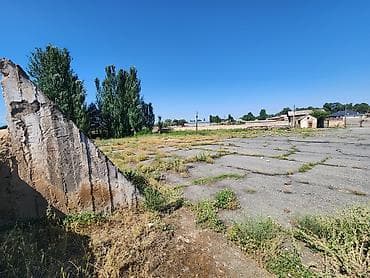 81: 81 соток, Для бизнеса, Красная книга — 5