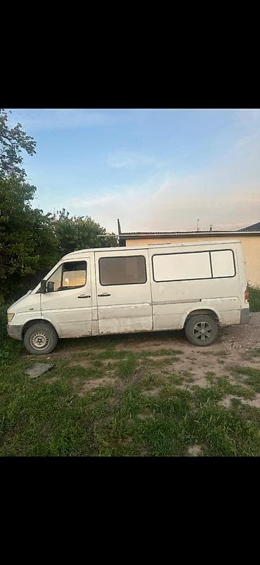 byd leopard 5: Легкий грузовик, Mercedes-Benz — 2