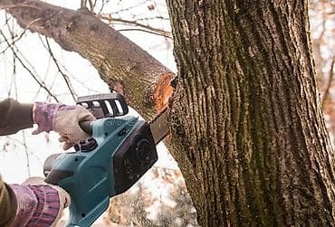 на краун: Услуги по спиливанию и обрезке деревьев - Профессиональное валка — 1