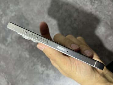 айфон 12 про мини: IPhone 15 Pro, Natural Titanium, Чехол — 3