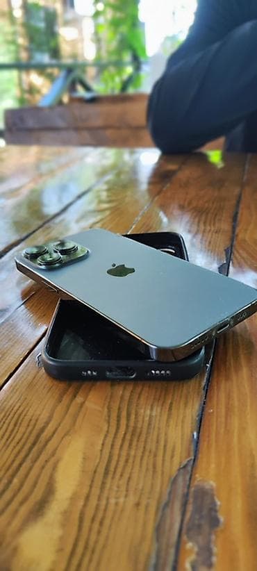 IPhone 13 Pro, Графит, Чехол, 88 %