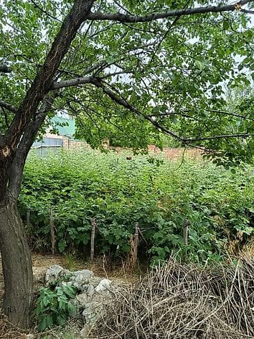 гараж кирпичный: Продаётся жилой дом с большим приусадебным участком и садом. - Дом — 1