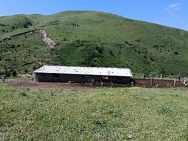 модульные контейнеры: Продам кашару в алмалуу цена договорная звонить по номеру - — 7