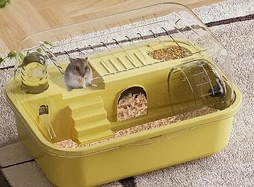 cat chow: Хомячки декоративные разных пород и окрасов - В наличии джунгарики — 7