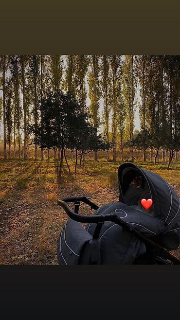 Польская Детская коляска- от бренда Zippy2в1 — 7