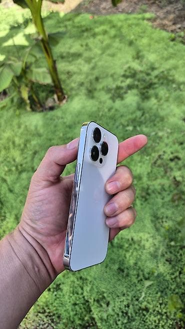 ps3 move: IPhone 14 Pro, Б/у, 256 ГБ, White Titanium, Чехол, 79 % — 3