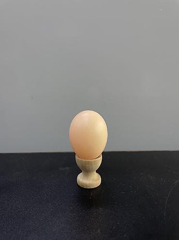 scottish fold: Инструменты для Крс и Мрс Соска Бачек Бирки для овец и коров — 7