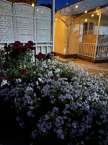 nice house: Гостиница на Иссык-Куле, пансионат "Островок", Бостери, 4 места, Посуточно — 5