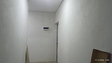 чистка килем: Декоративная штукатурка и малярные работы под ключ - Финишные — 3