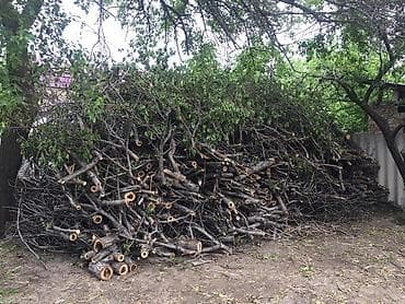 работа вентиляция: Снос аварийных деревьев Распил Укорачивание веток И т.д Убираем — 5