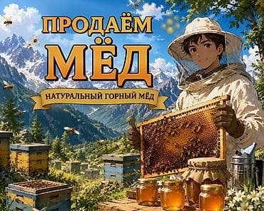 Продукты питания: Натуральный горный мёд - Собран на высокогорных пасеках среди луговых — 1
