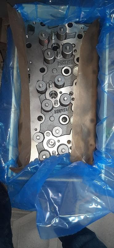 краун аморт: Головка блока цилиндров (в сборе, с клапанами) для DAF XF 95 Euro 3 - — 2