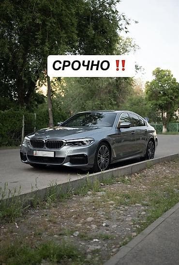 BMW 5 series: 2019 г., 2 л, Бензин — 1