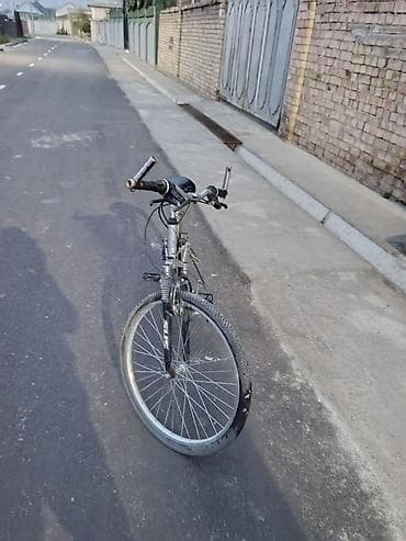 fixed gear: Горный велосипед, Рама M (156 - 178 см), Сталь — 3