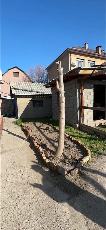 Дома: Продаю дом в районе Аламединского рынка • Салиева/Алматинка • — 9