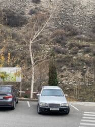 не переключает: Mercedes-Benz C-Class: 1995 г., 2.2 л, Автомат, Бензин, Седан — 4