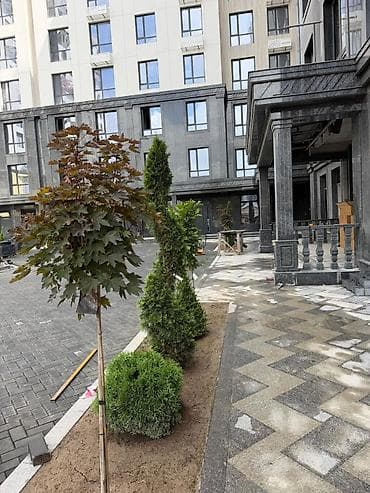 Недвижимость: 1 комната, 55 м², БГУ Элитка, 10 этаж, ПСО (под самоотделку) — 6