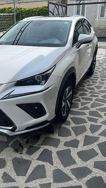 Транспорт: Lexus NX: 2021 г., 2 л, Автомат, Бензин, Кроссовер — 2
