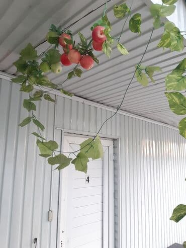 дом на иссык куле купить: 15 кв. м, Эмереги менен — 21