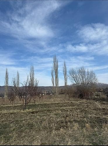 участок в аренду: 10 соток, Для строительства, Красная книга — 5