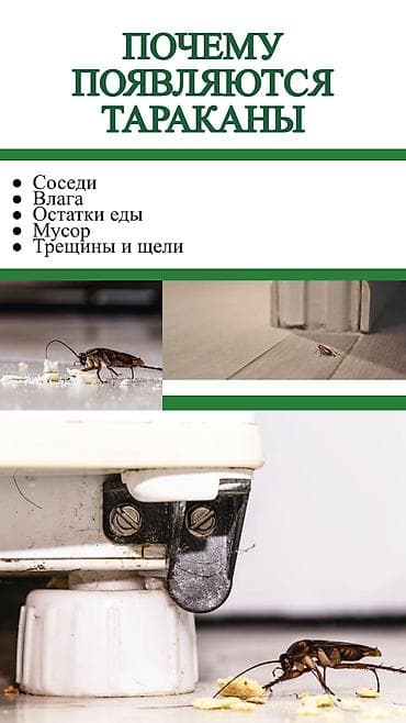 подъезды: Дезинфекция, дезинсекция, | Клопы, Блохи, Тараканы, | Транспорт, Офисы, Квартиры — 5