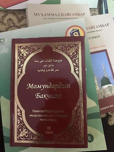 исламская: Подборка учебников и пособий по исламоведению и основам ислама — 4