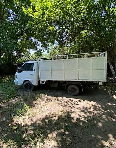 Транспорт: Легкий грузовик, Hyundai, Б/у — 4
