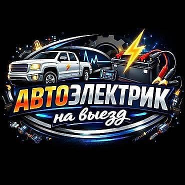мультимедиа photoshop elements и premiere elements: Автоэлектрик на выезд Профессиональная диагностика и ремонт — 1