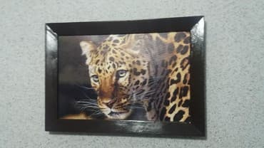 леопардовые вещи: Картина "Леопард". Печать на холсте. декор стены, комнаты. размеры — 3