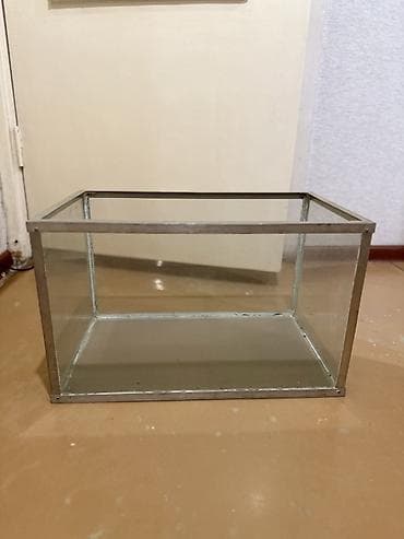 Стеклянный аквариум/террариум прямоугольной формы. Длина 50 см, ширина