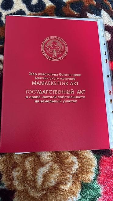 4 соток, Курулуш, Кызыл китеп — 1