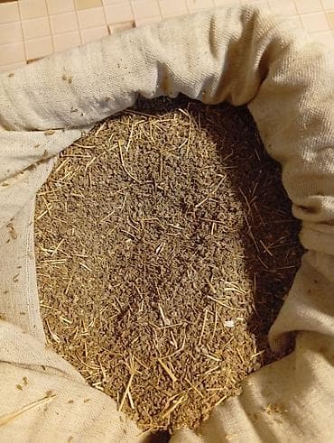 люстры бишкек цены: Семена моркови, жёлтой. Сары савиз урук 2 кг бар. 100 гр 300сом оптом — 1