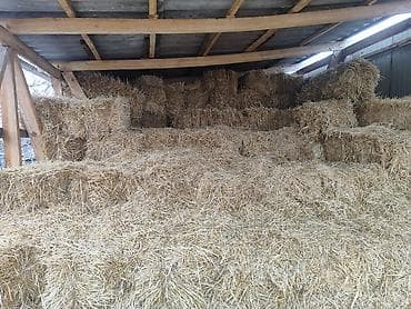 сабиз оптом: Продаю солому 150 тюков — 2