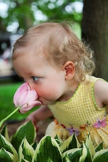 Няня С опытом, Полный рабочий день