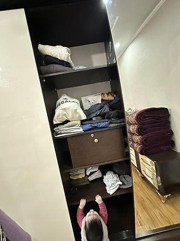 Уход и хранение одежды: Шкаф купе, С зеркалом — 3