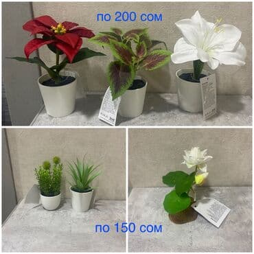 одежды для новорожденных: Искусственные цветы в горшочках!!!

Высота 22см и 15см — 3