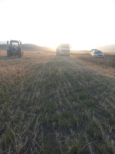 волва тегач: Грузовик, Volvo, Стандарт — 4