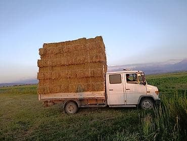 каток 5 тонна: Грузовик, Mercedes-Benz, Дубль, Б/у — 5