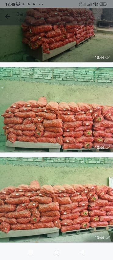 набор кльуч: Морковь Оптом — 1