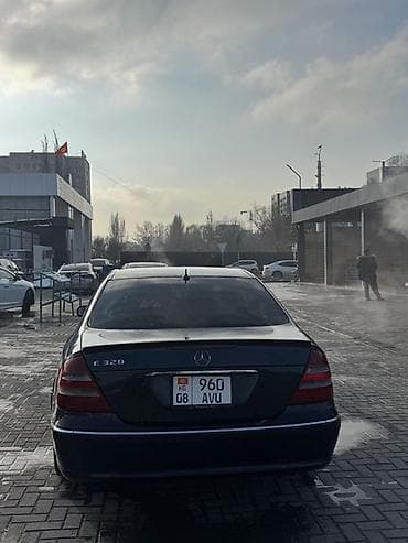 рещетки: Mercedes-Benz E-Class: 2004 г., Седан — 7