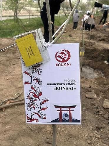 курсы японского: Языковые курсы Японский Для взрослых — 2