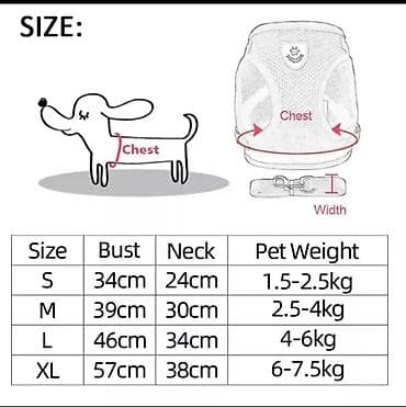 еж: Широкие шлейки с поводком для собак и кошек. Качество отличное — 4