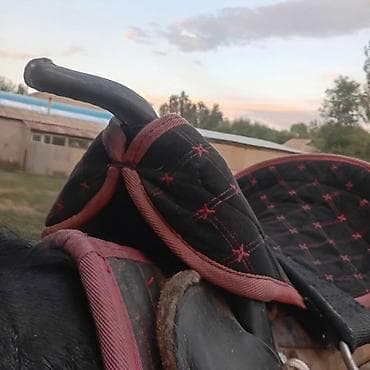 собака афчарка: Кавказское седло с мягкими подушками - Тип: традиционное кавказское — 2
