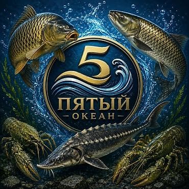 ПЯТЫЙ ОКЕАН Рыбный магазин – всегда свежие дары воды! У нас вы найдёте at lalafo.kg ПЯТЫЙ ОКЕАН Рыбный магазин – всегда свежие дары воды! У нас вы найдёте