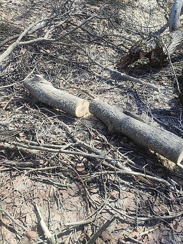 1 кг мяса цена бишкек: Отун Жаңгак — 3