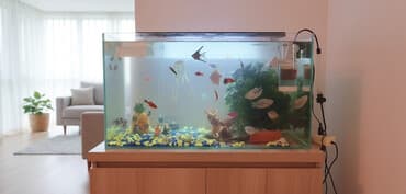 корм для аквариумных рыбок: Очень срочно продаю!!!!!! Аквариумный комплект с оборудованием и — 2