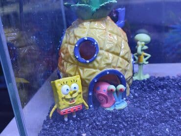 аквариумная рыбка: Новый аквариум. Объём 5 л. Хороший подарок детишкам — 3