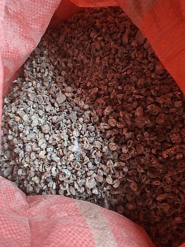 прихожая мебель бишкек: Помет голубей 500 сом за 1 мешок — 4