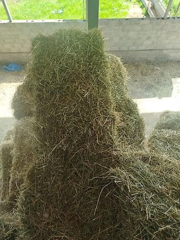 Сено в тюках - Натуральное луговое сено, спрессованное в