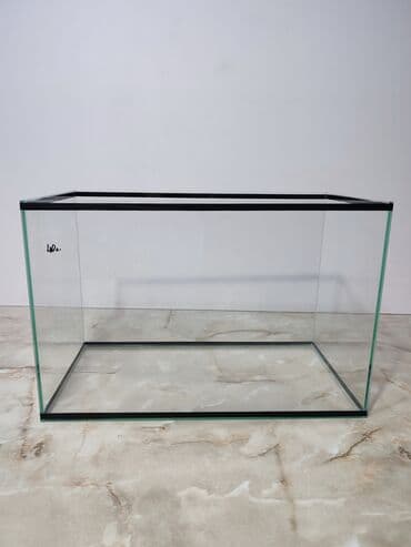 аквариумная рыбка: Прямоугольные — 6